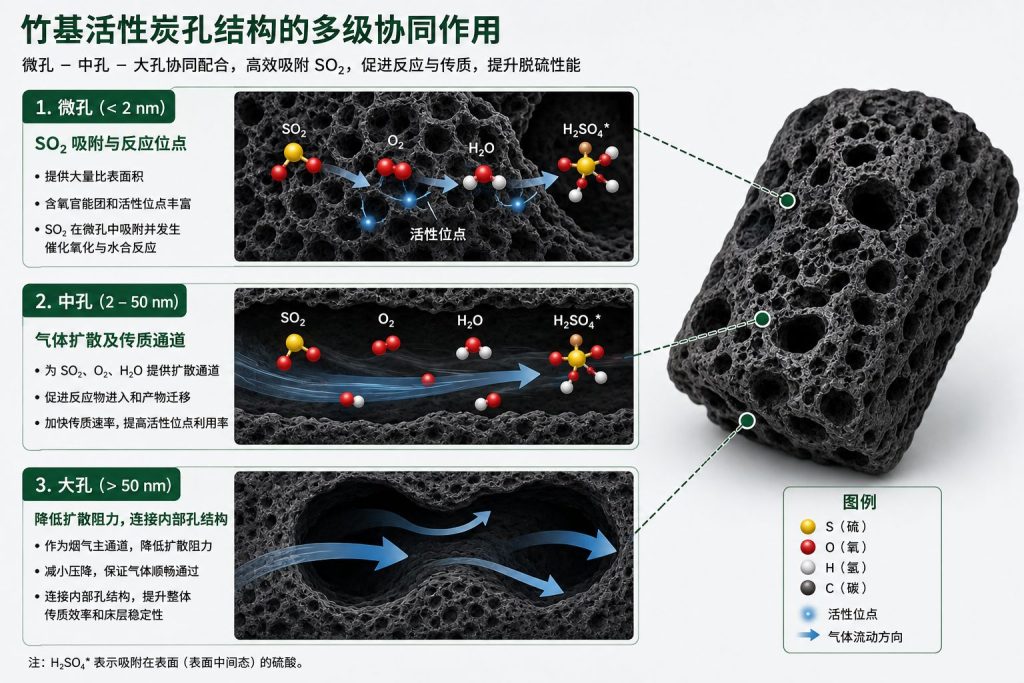 竹基活性炭微孔中孔及烟气脱硫传质结构